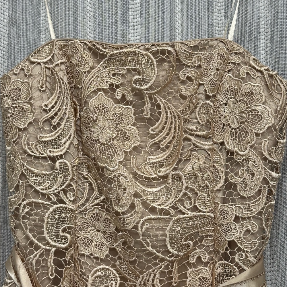 Adrianna Papell Strapless Embroidered Lace Cocktail Dress Gold Beige Size‎ 6 EUC - Picture 7 of 15